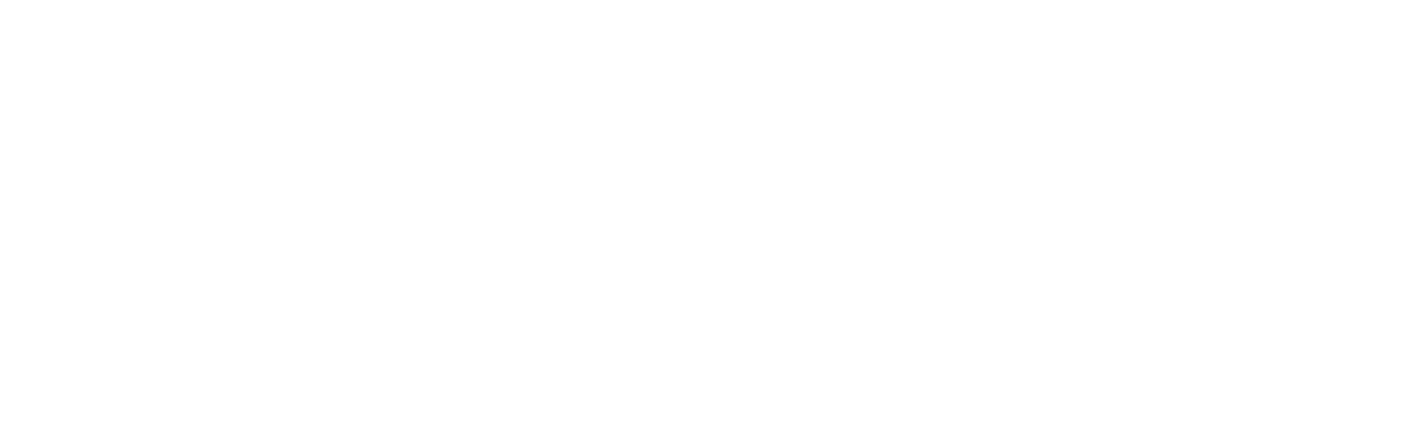 logo_netzerohome_white-no-tag-web-RGB